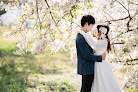 Foco（フォコ） 婚活相談所