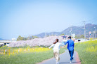 結婚相談所 Primo 婚活相談所